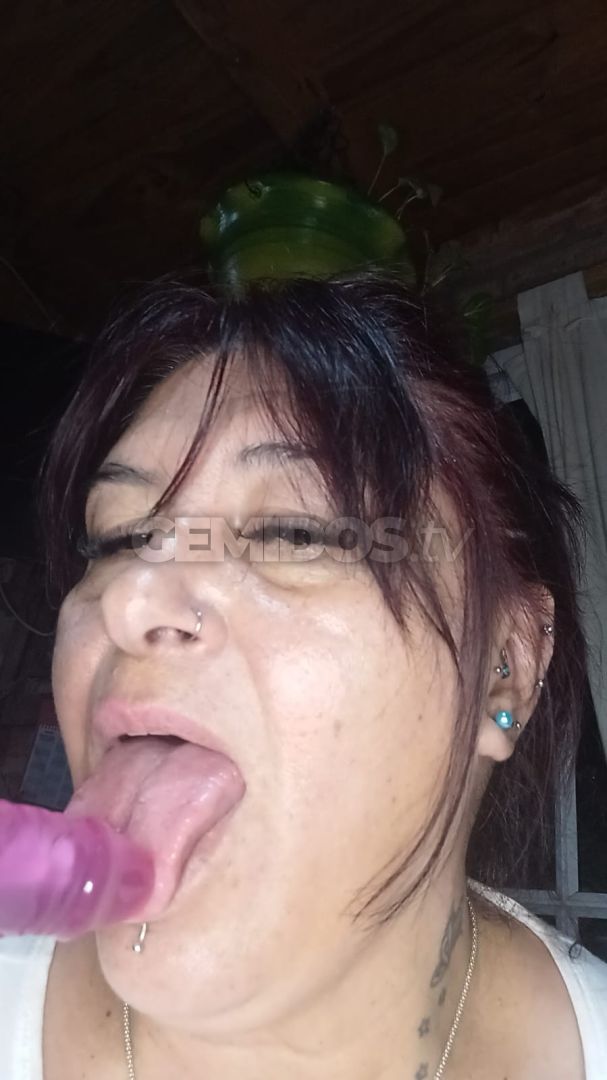 Noe ZS